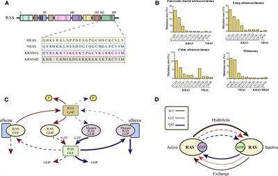 Small molecular inhibitors for KRAS-mutant cancers